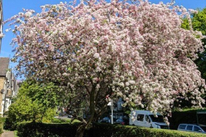 Crouch Hill, London, N4