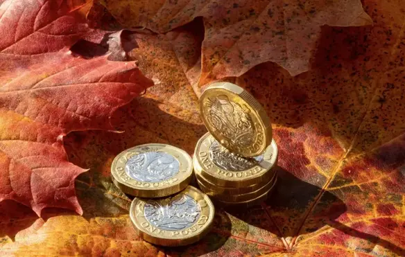 a stack of coins on a leaf