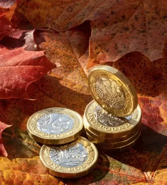 a stack of coins on a leaf