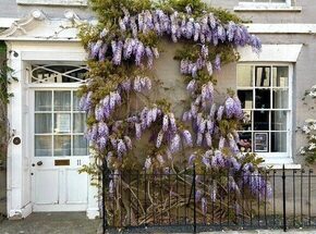 High Street, East Sussex, TN31