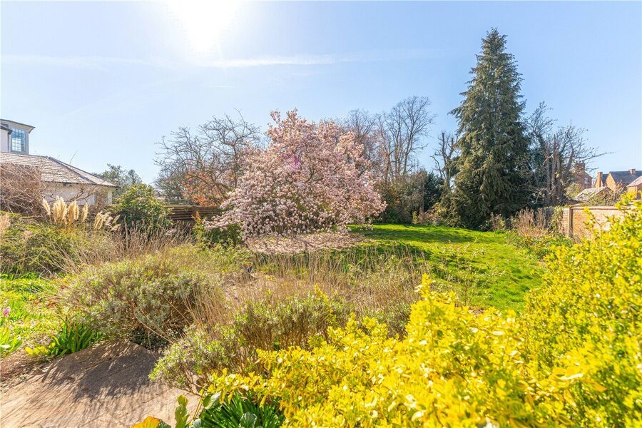 Rear Garden From Cor