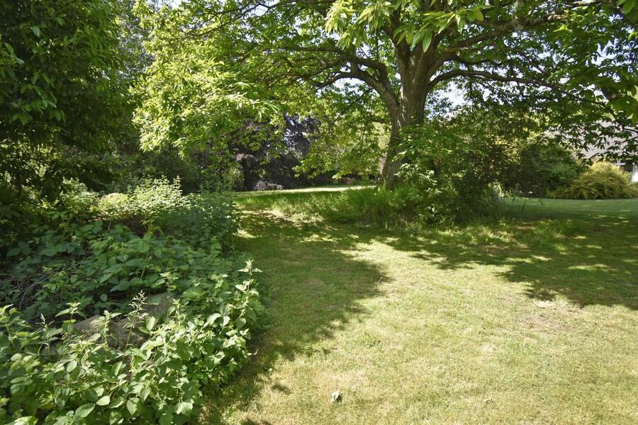 A GARDEN 3 NEW.JPG