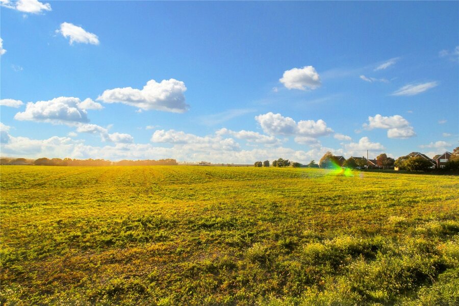 Fields