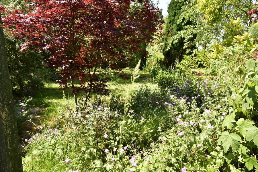 A GARDEN 2.JPG