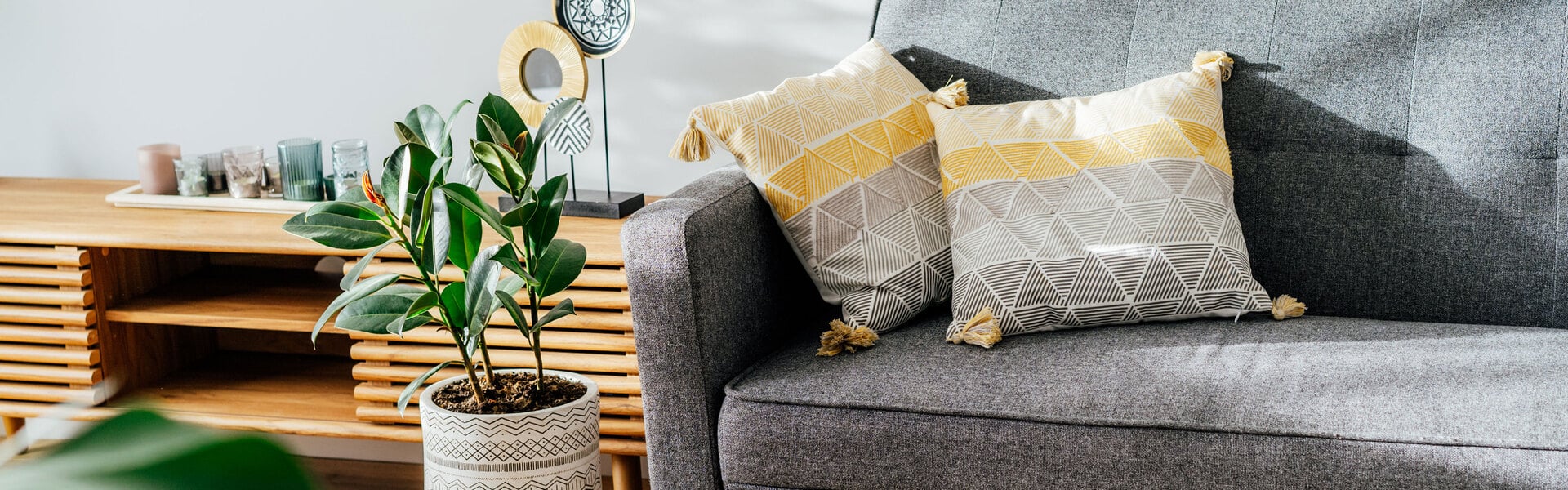 Renting page banner