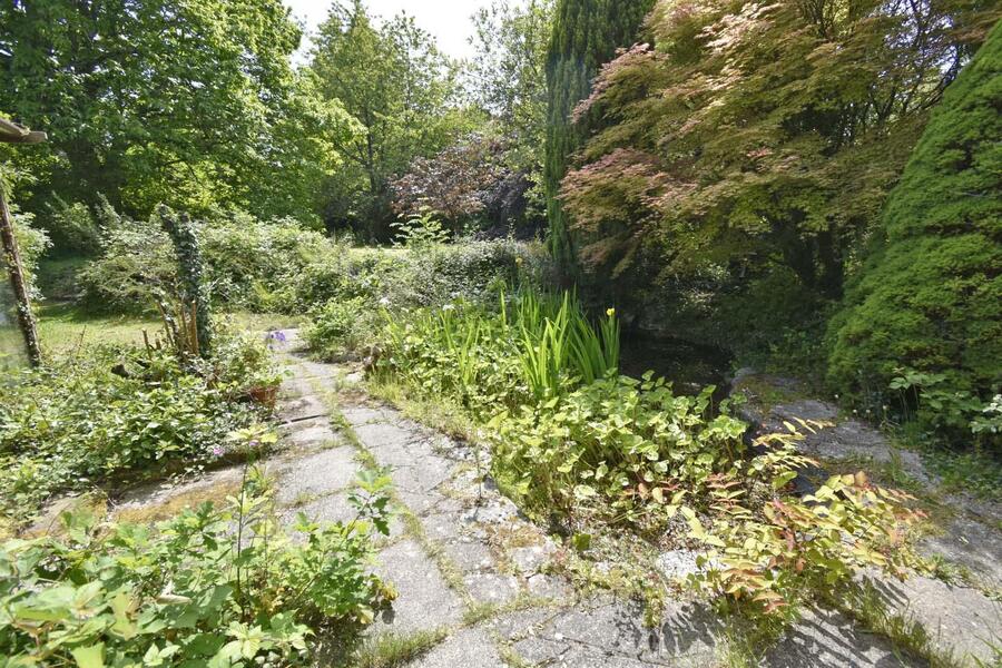 A GARDEN 6 NEW.JPG