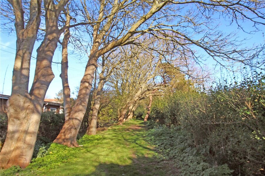 Spinney