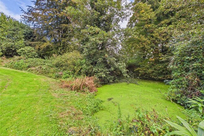 Lower Washfield, Devon, EX16