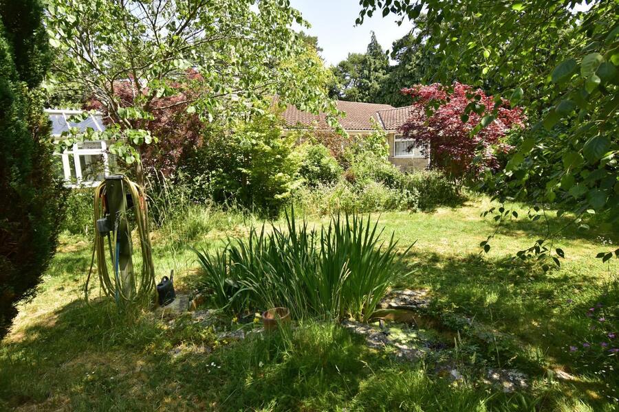 A GARDEN 6.JPG