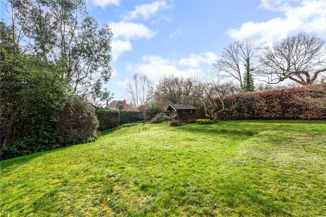Bell Hill Ridge, Hampshire, GU32