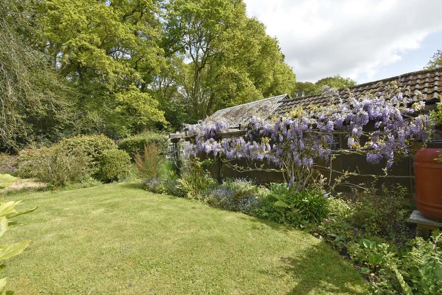 A GARDEN 2 NEW.JPG