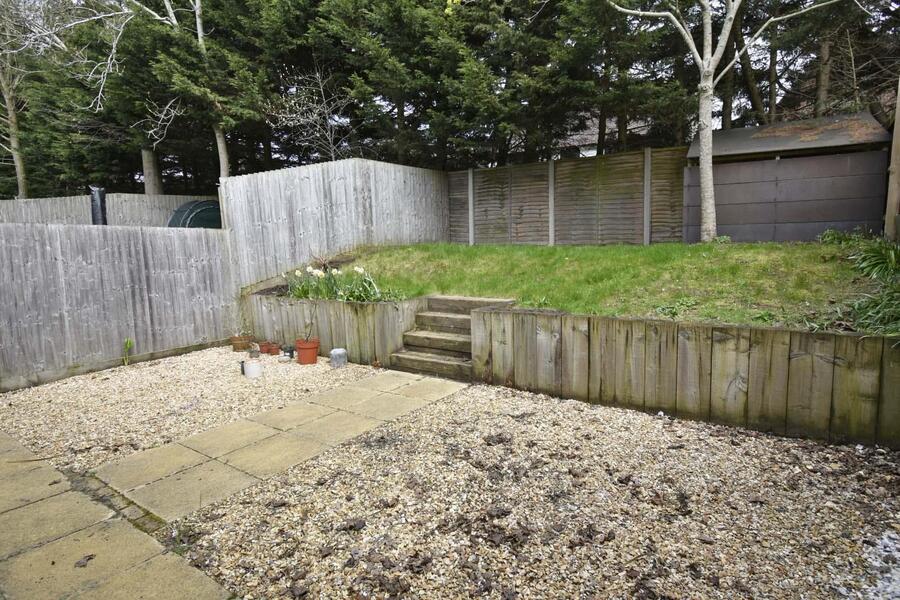 A GARDEN 2.JPG