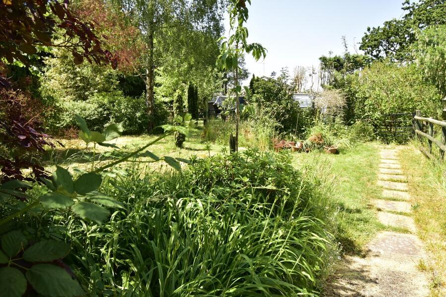 A GARDEN 1.JPG