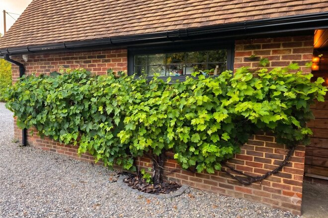 Fox Hill, Reading, RG7