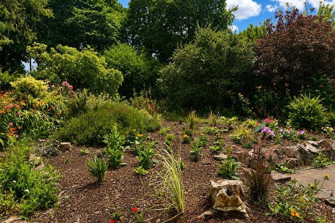 Staddlestones Park, Sandford, EX17