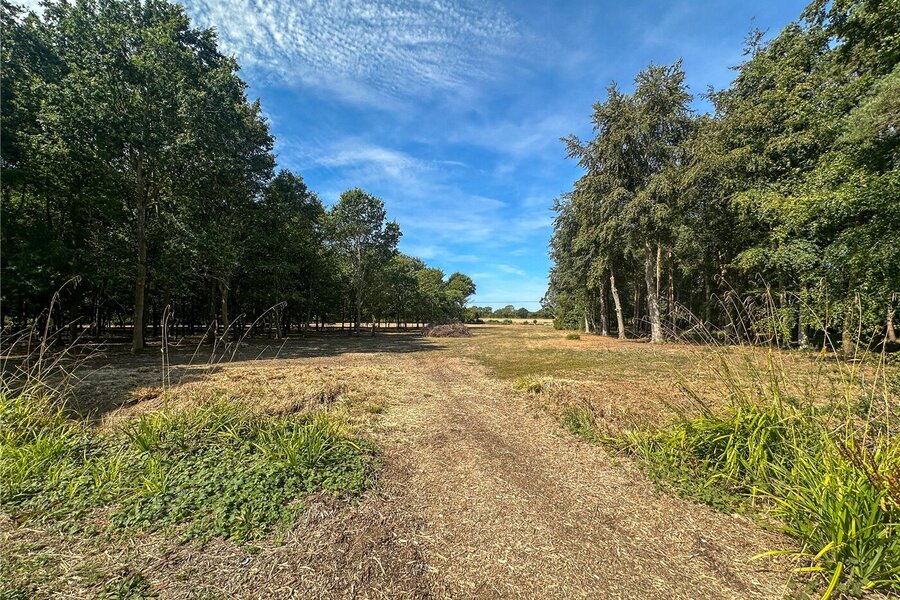 Grounds