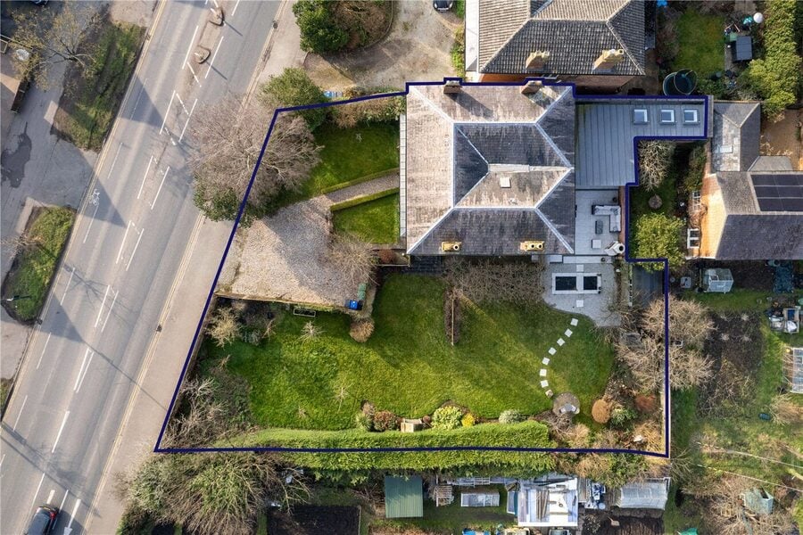 Birdseye