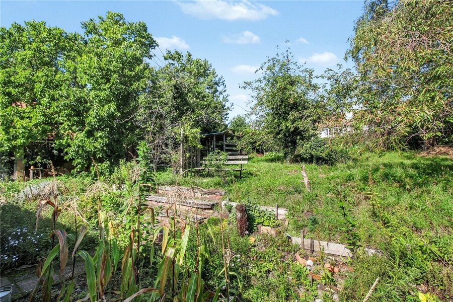 Grounds