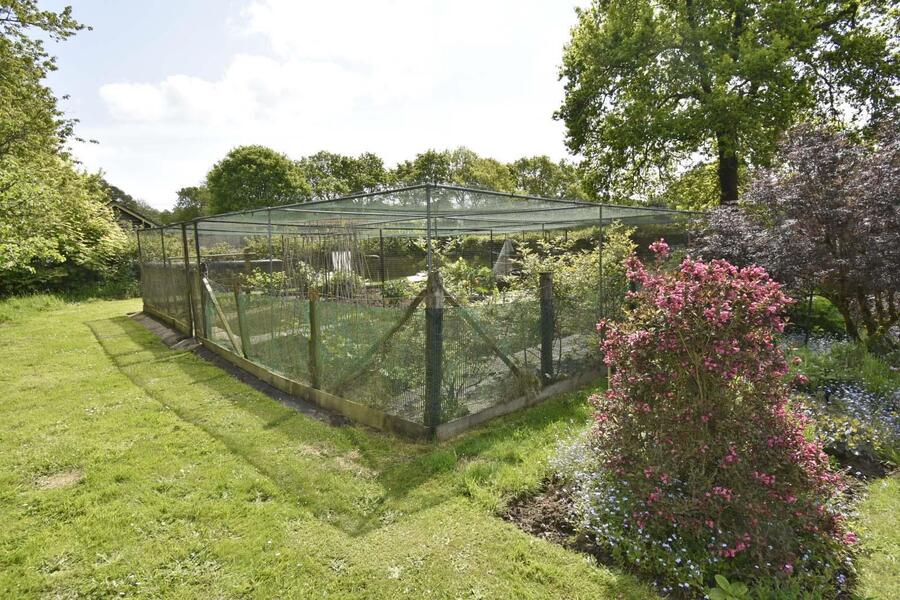A GARDEN FRUIT CAGE