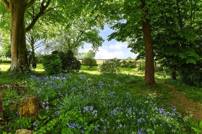 Stoner Hill Road, Petersfield, GU32