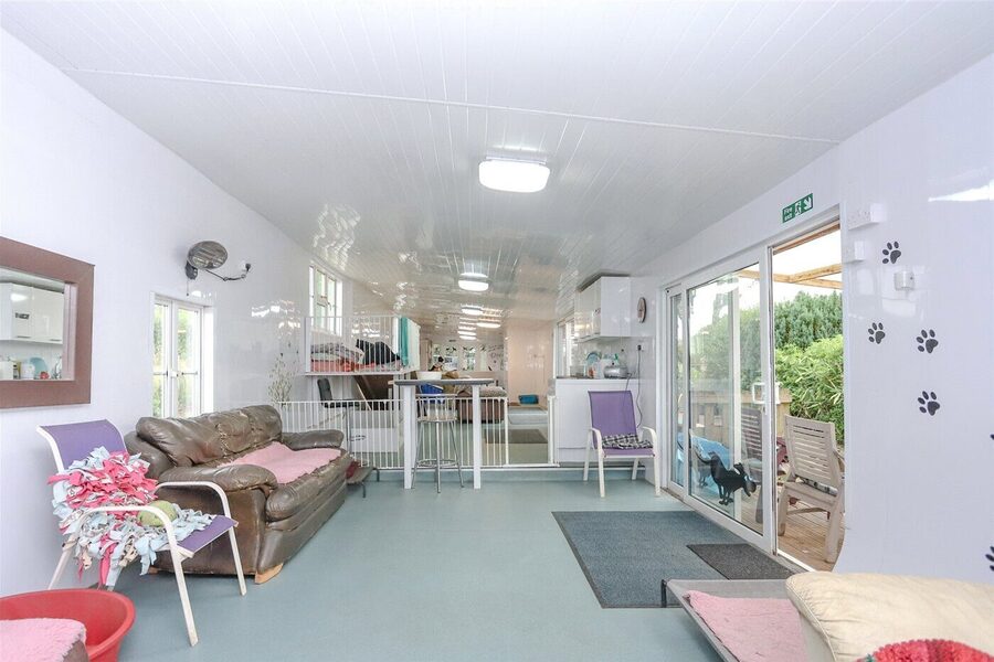 Dog Day Care Centre
