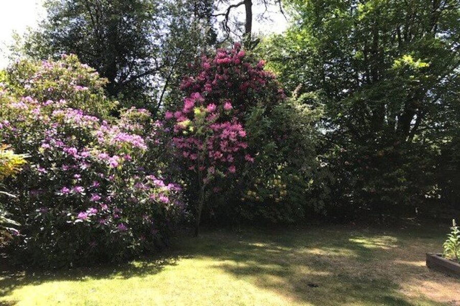 Winkworth Farnham