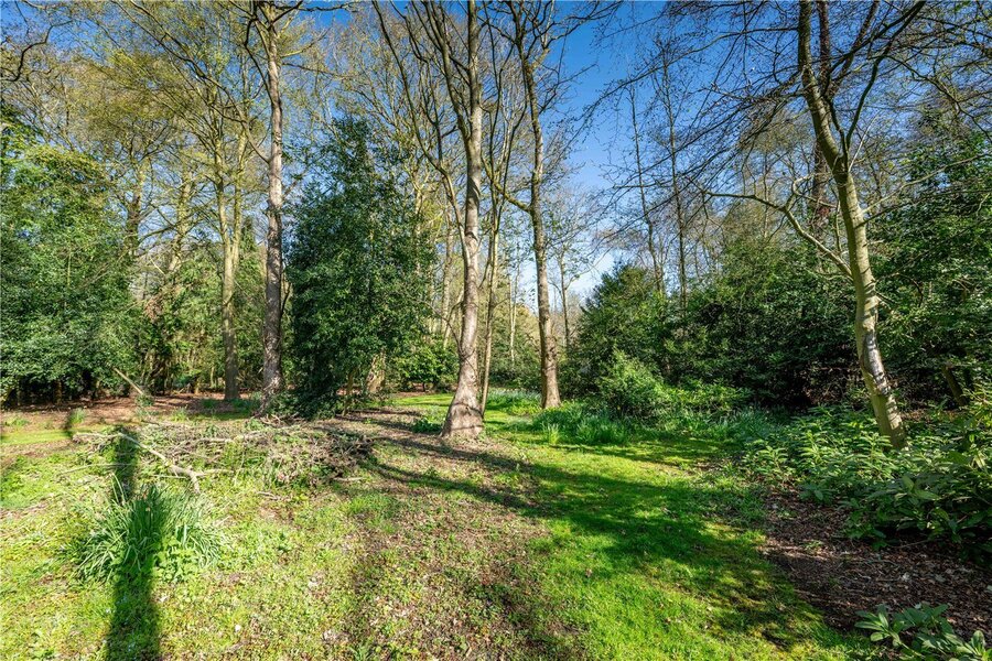 Grounds