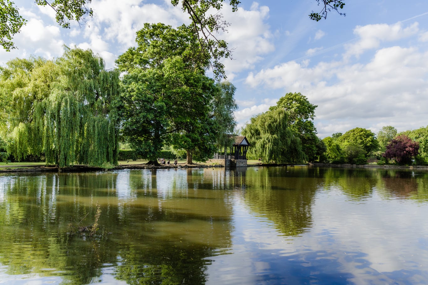 Palmersgreen - mid image