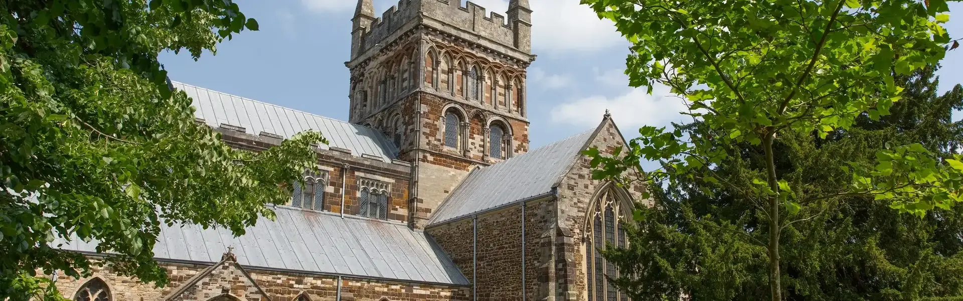 Wimborne Image