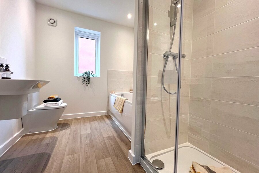 Picture No. 12