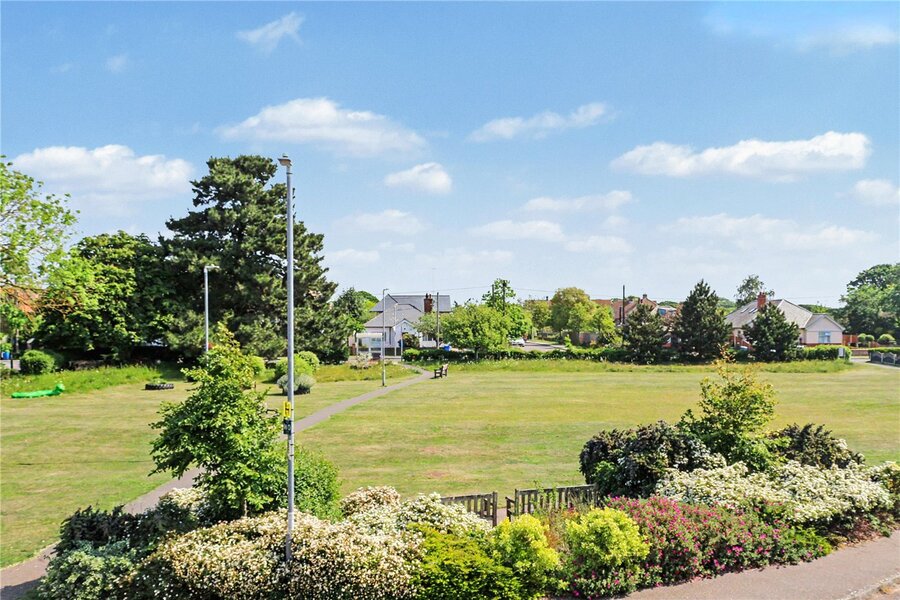 Green Opposite