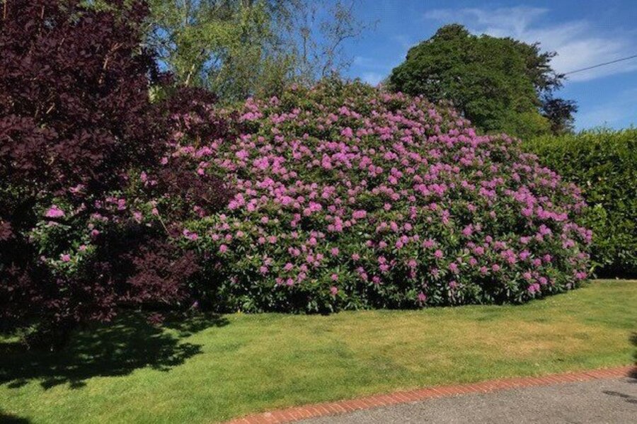 Winkworth Farnham