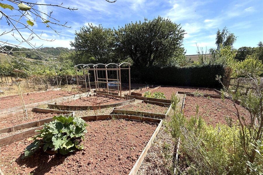 Veggie Patch