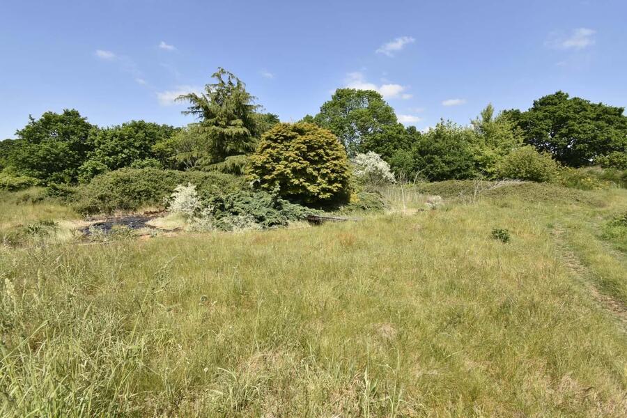 A GARDEN 1 NEW.JPG