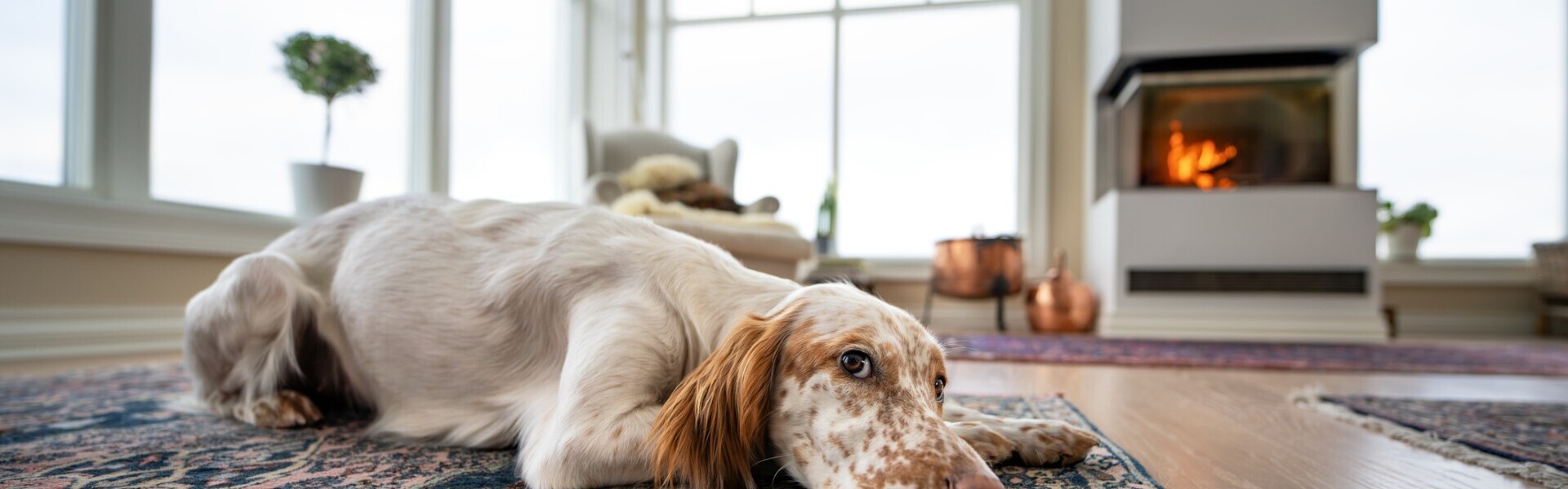 Why February is a smart month to start your home search