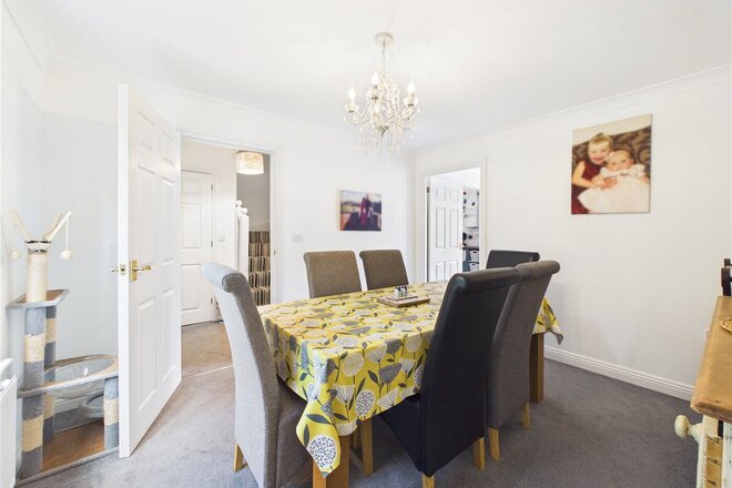 Alsa Brook Meadow, Devon, EX16