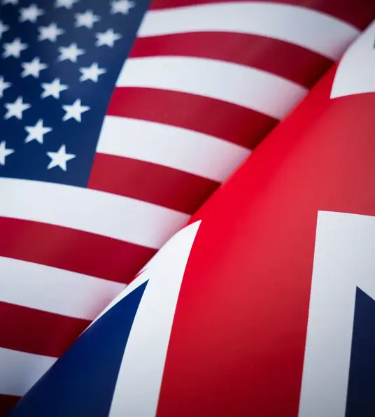 a close up of a flag