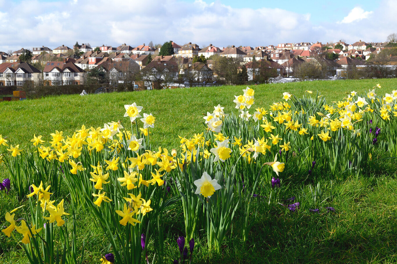 Barnet - mid image