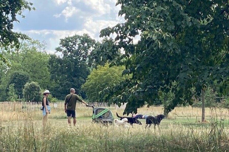 Hyde Park