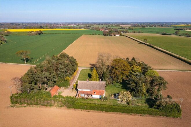Bergh Apton Road, Norwich, NR14