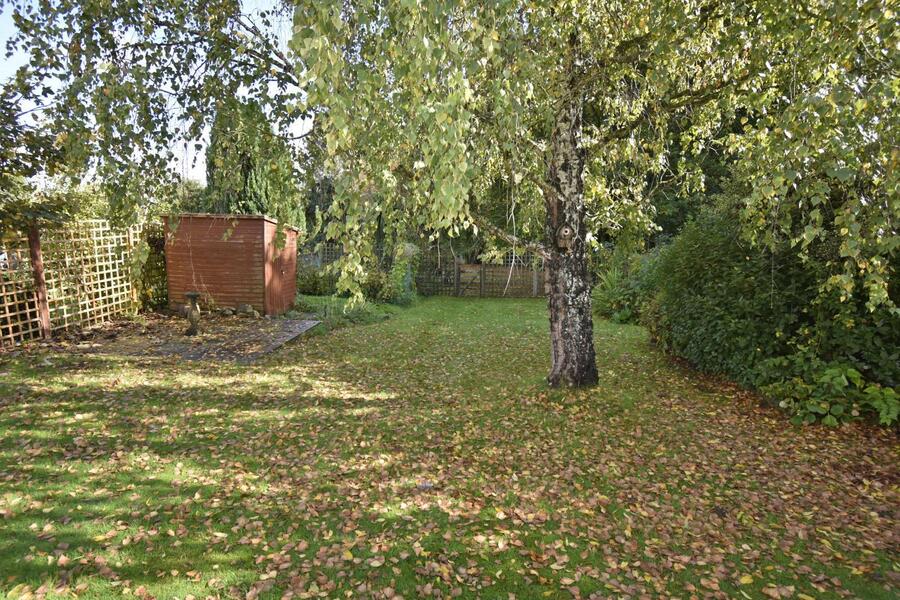A GARDEN 2.JPG
