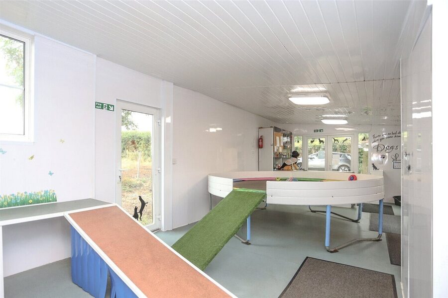 Dog Day Care Centre