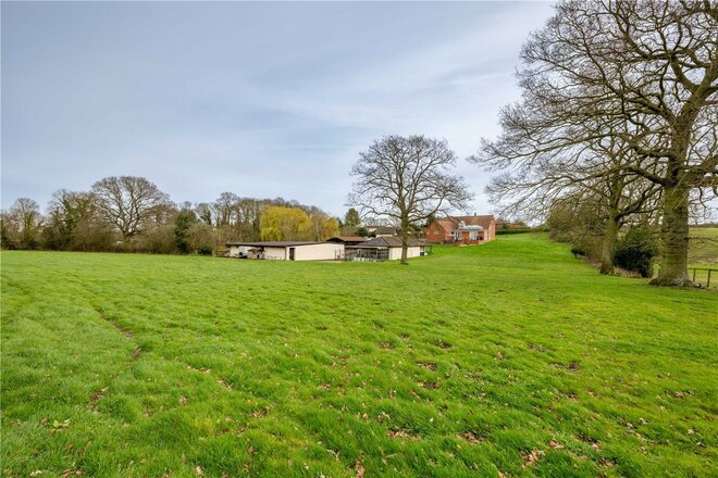 Mundham Common, Norwich, NR14