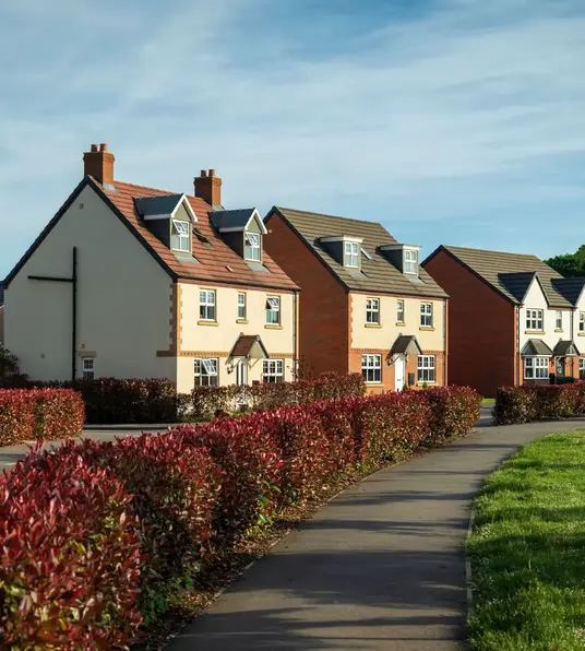 a row of houses with bushes and grass