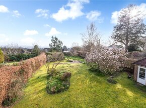 Bell Hill Ridge, Hampshire, GU32