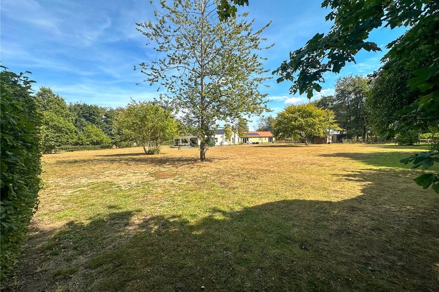 Grounds
