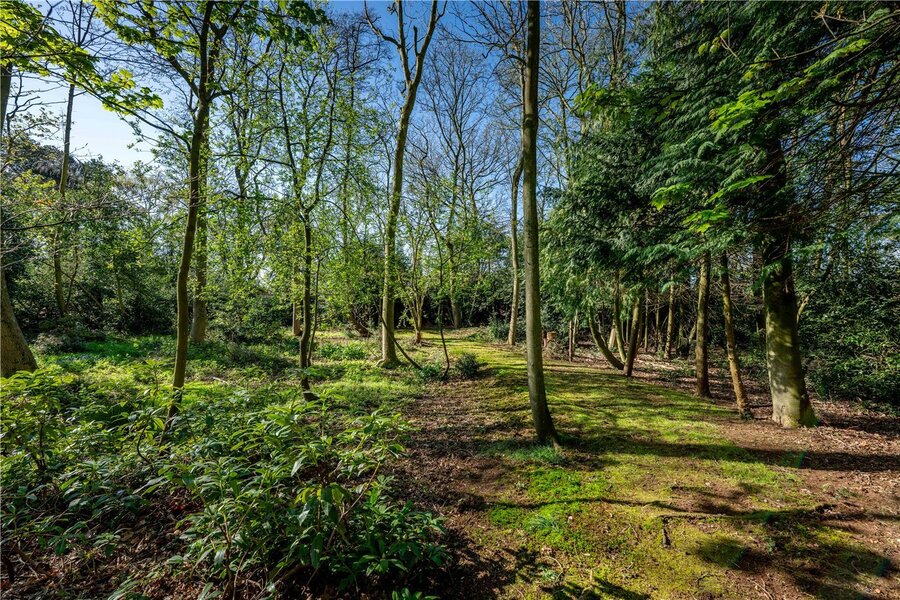 Grounds