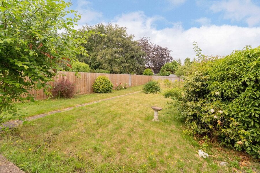 Back Garden