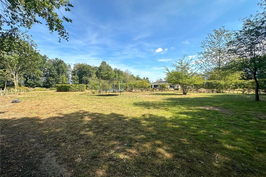 Grounds