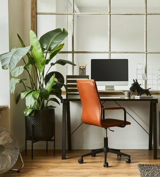a room with a computer desk and a plant